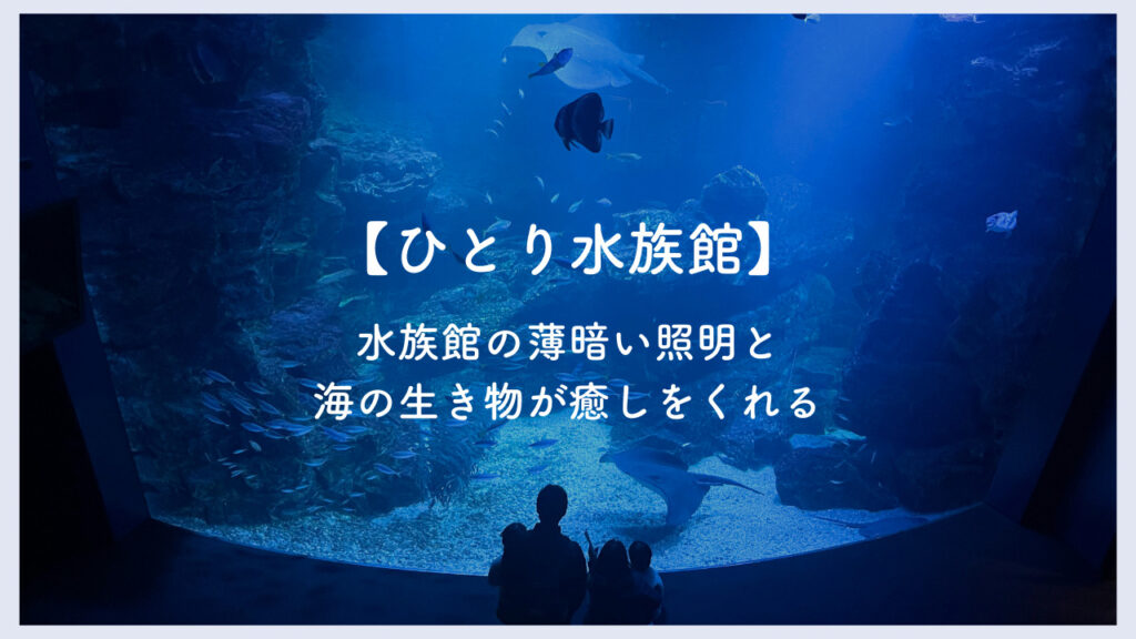 実際の水族館の画像