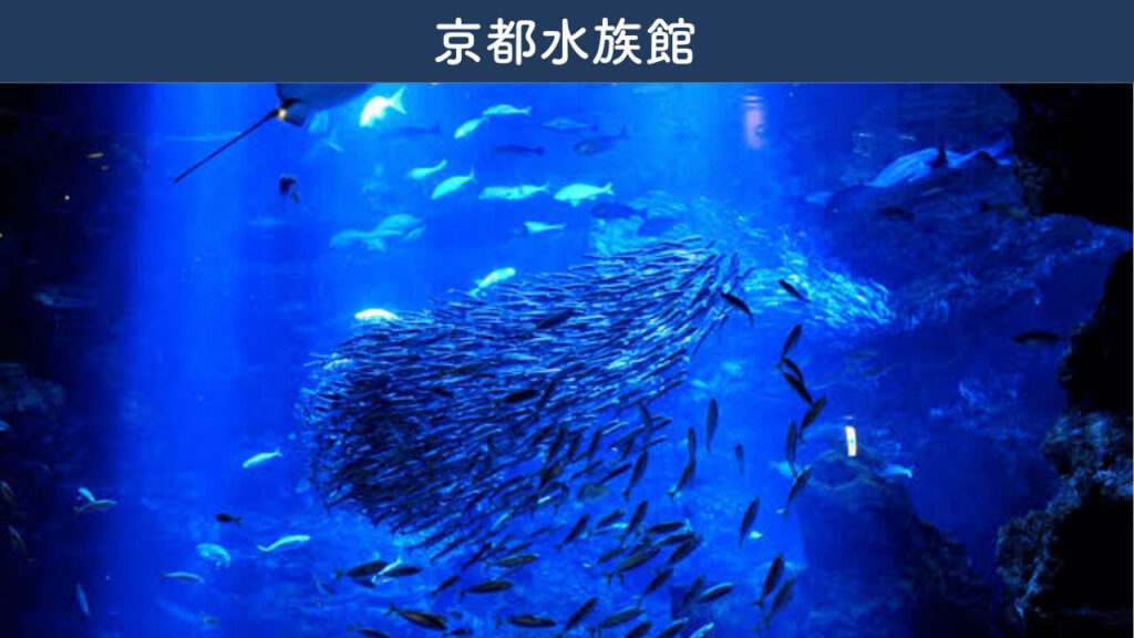 京都水族館の画像