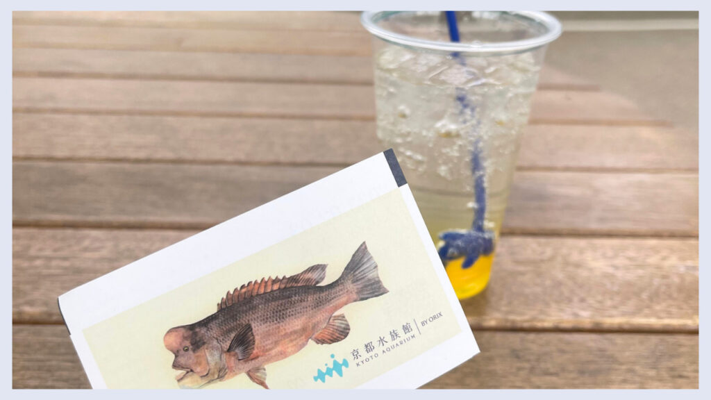 京都水族館内にあるカフェの画像