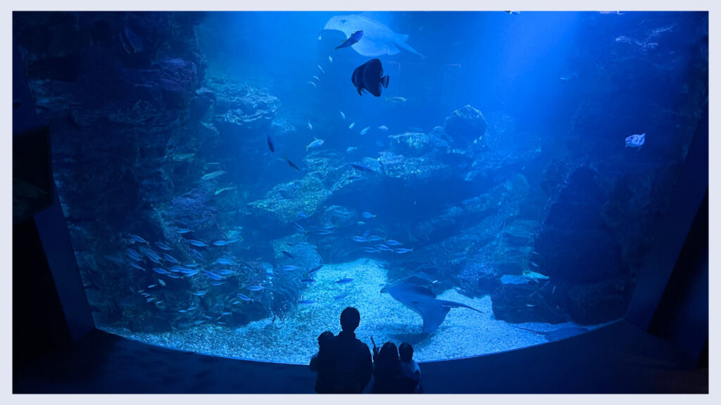 実際の京都水族館の内装の画像