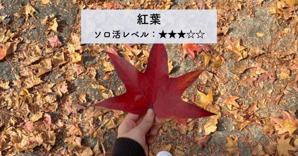 実際の紅葉の画像