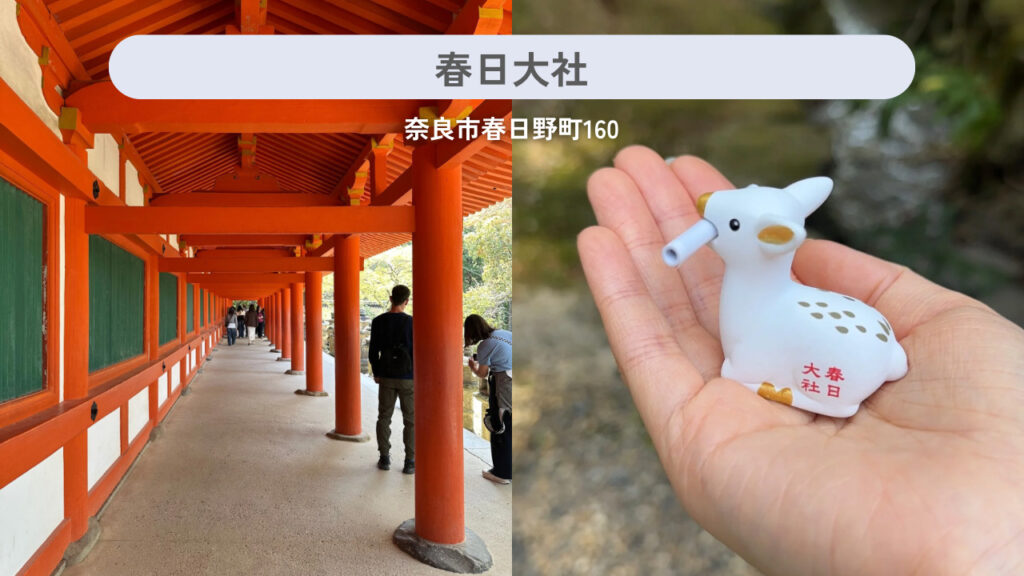 春日大社の実際の外観と白鹿みくじの画像