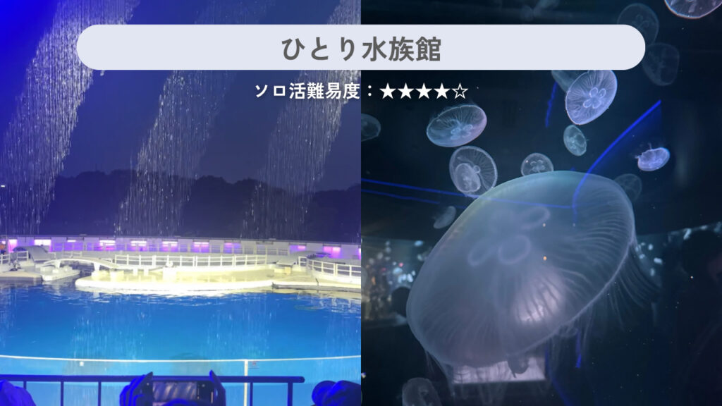 実際に行った水族館の画像