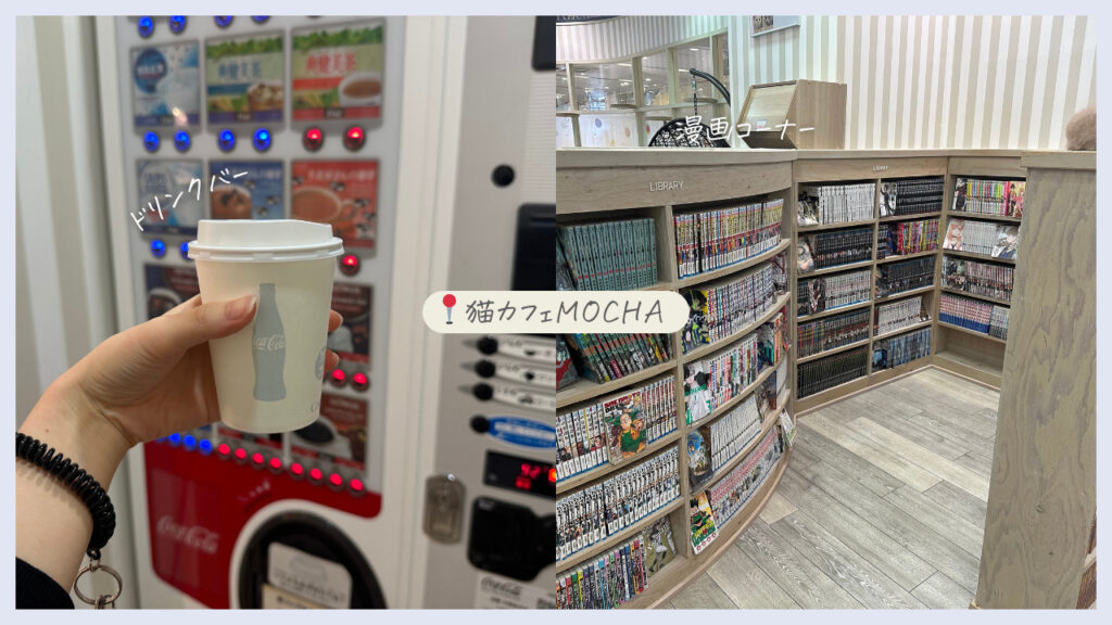 実際の猫カフェMOCHAの画像