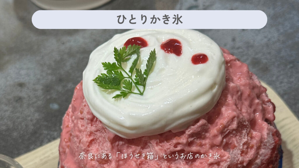 実際のかき氷の画像